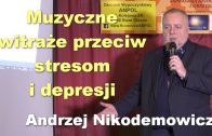 Andrzej Nikodemowicz muzyczne witraze
