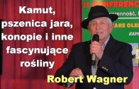 Robert Wagner kamut