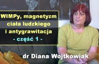 Diana Wojtkowiak WIMPy 1