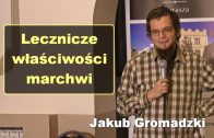 Lecznicze właściwości marchwi – Jakub Gromadzki