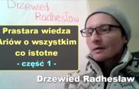 Kompletna wiedza o kompletnej całości, część 2 – Drzewied Radhesław