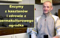 Andrzej Kowalczuk enzymy