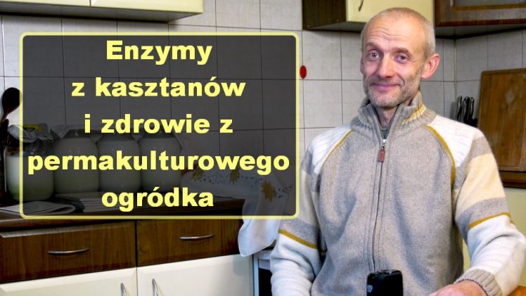 Enzymy z kasztanów i zdrowie z permakulturowego ogródka – Andrzej Kowalczuk