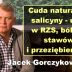 Cuda naturalnej salicyny – ulga w RZS, bólach stawów i przeziębieniach – Jacek Gorczykowski